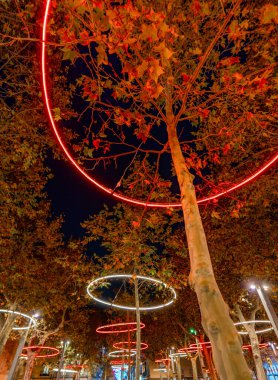 Gece şehir meydanında kırmızı ve beyaz neon ışıklarla aydınlatılmış ağaçlar.