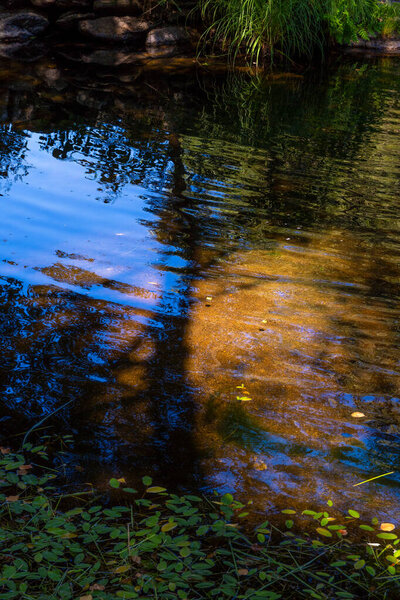 Reflections of trees, branches and sky in a calm pond with sunlight on the water with the shadows of the trees projected on the river water.