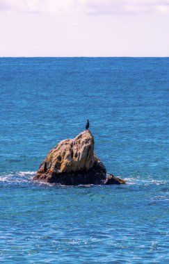 Kuş denizin ortasındaki bir kayaya tünemiş şafağın ilk saatlerinde ufku izliyordu..