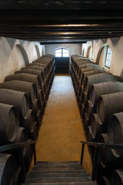 Yan taraflarında eski ahşap fıçılar dizili bir şarap mahzeninin içi..