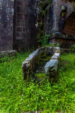 Fransa 'nın Conques kasabasında büyümüş bir bahçede, Sainte-Foyen Manastırı' nın ortaçağ duvarının yanındaki yeşil çimlerde yosunlarla kaplanmış eski taş içecekler..