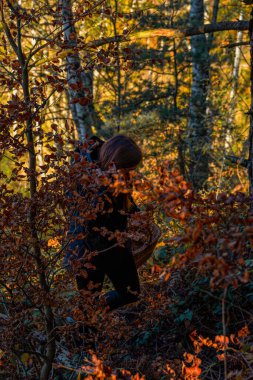 Woman behind bushes searching for mushrooms with her wicker basket deep in the forest, obscured by the golden foliage of autumn and sunlight illuminating the trees in the background.