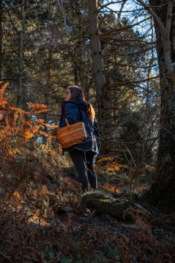 Young woman picking mushrooms with a woven wicker basket under bright sunlight in an autumn forest.
