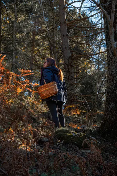 Young woman picking mushrooms with a woven wicker basket under bright sunlight in an autumn forest.