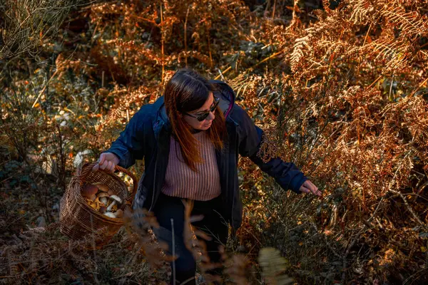 A young woman picking mushrooms with a woven wicker basket filled with fresh mushrooms among the vibrant undergrowth of an autumn forest in the early morning hours.