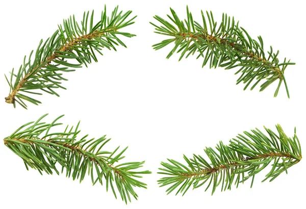 Slavnostní Novoroční Vánoční Prapor Jedlové Větve Izolovány Větev Evergreen Zelená — Stock fotografie