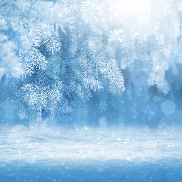 Winter Background Snow Forest Fir Trees Covered Snow Frosty Morning — Stock Photo, Image
