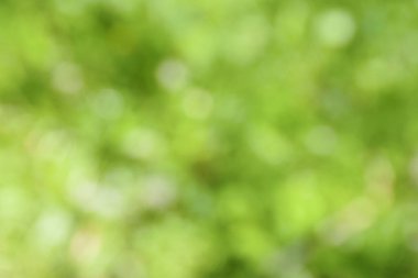 Bulanık doğal yeşil arka plan. Yaz bahçesi. Ormanda yürü. Dinlenme ve turizm. Eko arka plan. Sağlıklı yaşam tarzı ve doğaya saygı kavramı..