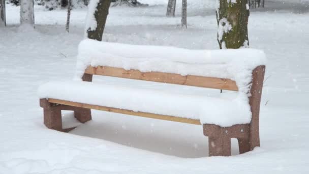 Boş Kar Kaplı Bank Parkta Kış Günü Düşünce Yalnızlık Için — Stok video