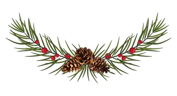 Christmas Tree Cones Botanical Illustration Christmas Tree Branch Postcard Design — Stock Vector