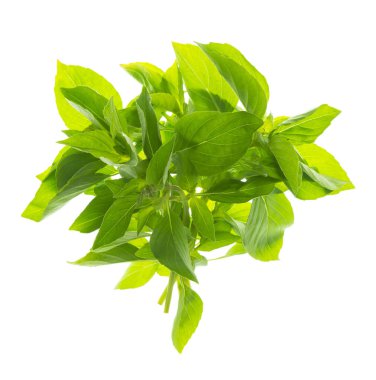 Akdeniz diyeti için taze yaz baharatları ve baharatları. Yeşil fesleğen. Beyaz arka planda sağlıklı vejetaryen yemekleri. Aşçılık konsepti. Gölgesiz izole edilmiş..