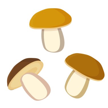 Logo, ağ, uygulama ve UI için porcini yenilebilir mantar. Mantar simgesi basit bir işaret. Grafik ve web tasarımı için mantar simgesi düz vektör çizimi. Eps 10 