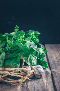 Bir demet fesleğen. Baharat. Farklı yemekler için baharat. Sağlıklı yemek pişirmek için baharat kavramı. Taze fesleğen, sarımsak, kök, maydanoz, dereotu, kereviz, ahşap bir masa. Resifler için bitki ve baharatlar. Kopya alanı. 