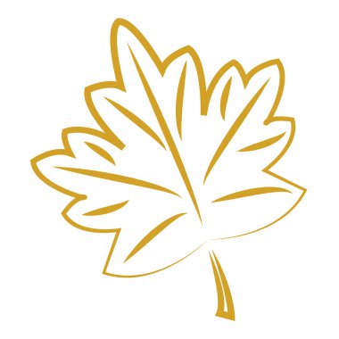 Vektör çizgisi soyut sonbahar yaprağı çiziyor. Asgari botanik doğal çevre kavramı. Ev dekorasyonu, poster, çanta, kumaş baskısı. Tek çizgi çizimi grafik vektör çizimi. Eps 10