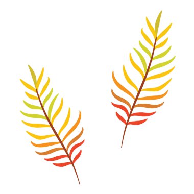 Vektör sonbahar yaprağı izole edildi. Eps 10. Poster, tekstil, baskı ve web sitesi için tasarım. Güzel gerçekçi bir tarz. akasya, rowan, eğreltiotu. 