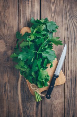 Fresh celery leaves and stalks on rustic background.healthy eating. Fresh green organic celery. Fresh leaf celery. BIO vegetables. Herbs and spices. Aromatic ingredients.Vegetarian rustic food concept