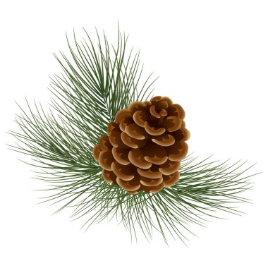 Noel süslemeleri bitkilerin gerçekçi kompozisyonu yeşil tr ile