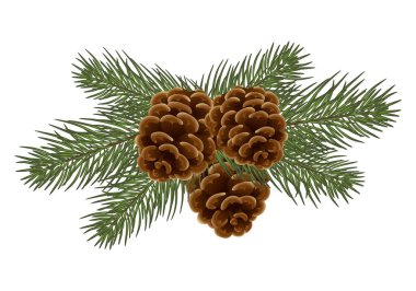 mevsimlik sonbahar kozalakları. Sonbahar ya da sonbahar, sezon, çam kozalakları dikenli bir köknar ağacının dalında asılı, vektör karikatür çizimi. Eps 10.