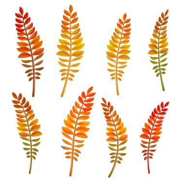 Tropik Palm Leaves. Kumaş, Tekstil, Duvar kağıdı, düğün, davetiye ya da posterler için tasarım. Yaprak yaprağı egzotik, organik palmiye, botanik tropikal illüstrasyon. Eps 10