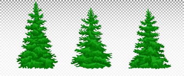 Çam ağacı ya da köknar ağacı siluetleri. Tatil sembolü Yeni Yıl. İğneli kozalaklı bitki. Kış Tatil Sembolleri. Noel Ağaçları Belirlendi. Eps 10