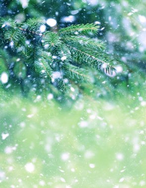 Noel, kış arkaplanı, buzlu çam ağacı, firavun ağacı. Fotokopi alanı olan güzel mevsimlik arka plan. Noel Yeni Yıl Kavramı.