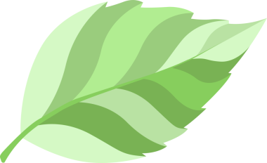 Sarı ağaç dalı. Yapraklar sapta. Bitki elementi şeffaf, png. Çizgi film tarzı, düz stil. Huş yaprağı. Sonbahar yaprakları. Güzel dekoratif doğal bitkiler ve yapraklar