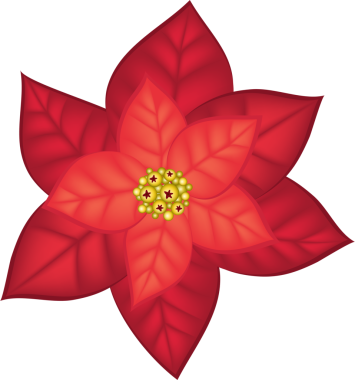 Böğürtlen dallarıyla sıralanmış kozalaklı dallar. Pusaentia 'nın yeşil yaprağı ve kırmızı çiçek illüstrasyonu şeffaf, png