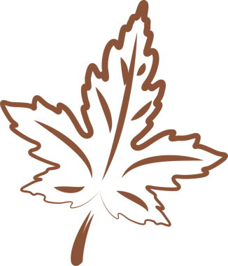 Sonbahar yaprakları. Güzel dekoratif doğal bitkiler ve yapraklar. Şeffaf, png. Sonbahar tebrik kartları, düğün davetiyeleri, alıntılar ve dekorasyonlar için sonbahar illüstrasyonu.