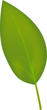 Kiraz ikonu. Gerçekçi bir şekilde kırmızı kiraz çizimi. Yeşil saplı ve yapraklı kirazlar. Şeffaf vişne tasarımı, png. Kırmızı kiraz meyvesi. Ağ şablonu için meyve tasarımı. Yaban mersini veya kiraz yaprakları.