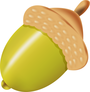 Meşe palamudu. Sevimli sonbahar eşyalarının çizimi. Meşe palamudu. Sonbahar. Şeffaf, png. kahverengi sonbahar meşe palamudu, tasarım için element,