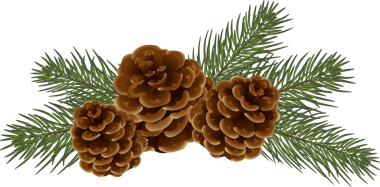 Kozalaklı kozalaklı Evergreen Ağaç Dalları. Bir dal ladin. Botanik öğesi. Gerçekçi tasarım. Şeffaf ağaç dalı, png. Noel ya da yılbaşı süslü kozalaklı çelenk.