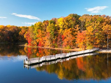 Hava fotoğrafı. Sonbahar ormanı, sakin sulara yansıyan bir göl kıyısında.