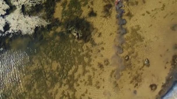 Людина Ловить Рибу Березі Озера Йде Сіткою Руці Камера Випливає — стокове відео