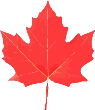 Düz yapraklı simgeler. Vektör illüstrasyonu