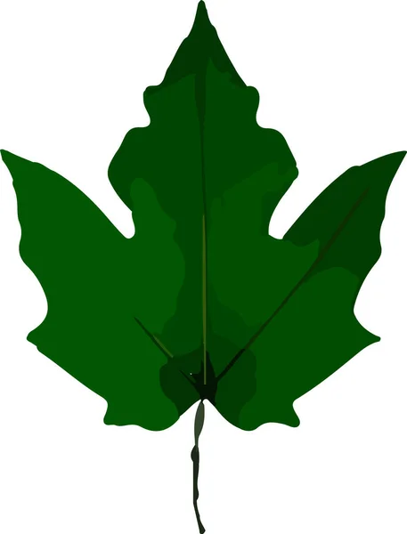 Flache Blätter Vektorillustration — Stockvektor