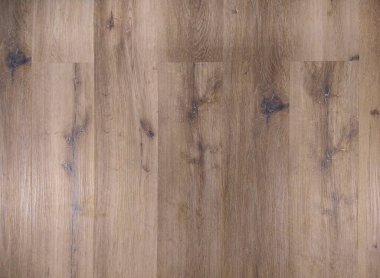 Açık kahverengi renkte güzel park arkaplanı