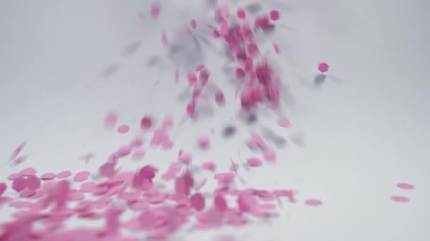 落粉圆饼庆祝派对夹子颗粒符号动画 — 图库视频影像