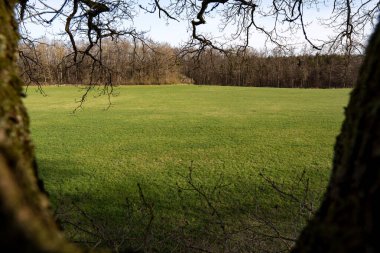 Açık hava peri masalı açık hava sahnesi Güzel sezon