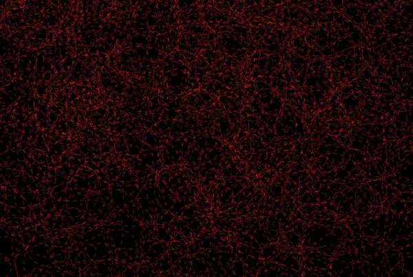 Linea Tratteggiata Rossa Texture Effetto Particella Dinamica Liscio Sfondo Dritto — Foto Stock