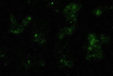 Yıldızlı galaksi. Karanlık sonsuz samanyolu. Parlak kozmos.