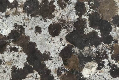 Grunge taş duvar dokusu. Doğal taneli soyut duvar kağıdı.