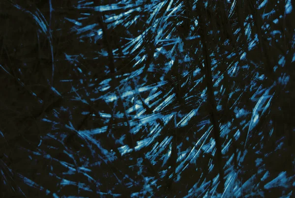 Creepy Spider Web Background Horror Movie Texture Art Blue Black — Stock Photo, Image