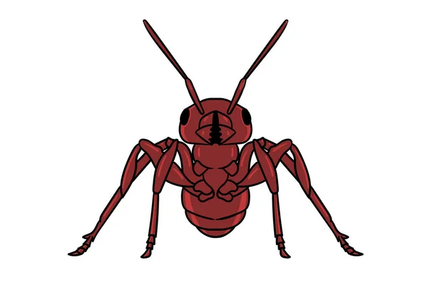蚂蚁动物头像卡通人物艺术 — 图库照片