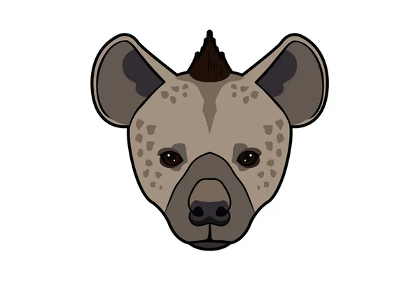 Hyena Animal Cabeça Cartoon Animais Selvagens Rosto Personagem Arte — Fotografia de Stock