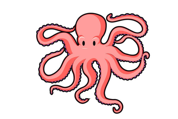 Octopus animal head cartoon wildlife face character art