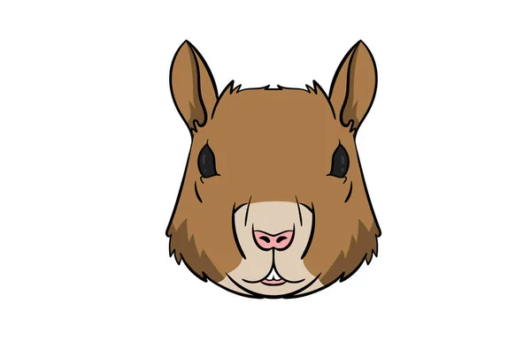 松鼠头卡通野生动物脸人物形象艺术 — 图库照片