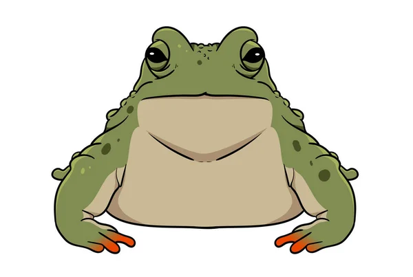 Frosch Tier Kopf Cartoon Tierwelt Gesicht Charakter Kunst — Stockfoto