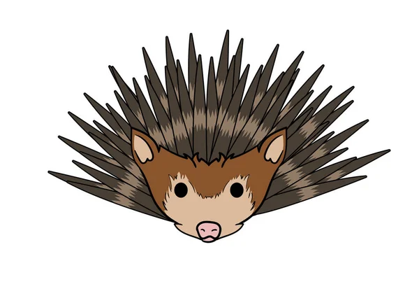 Hedgehog Животное Голова Мультяшной Дикой Природы Лицо Персонажа Искусства — стоковое фото