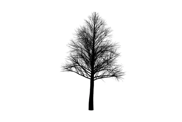 Baum Silhouette Botanisches Kunstwerk Saisonale Holzformkunst — Stockfoto