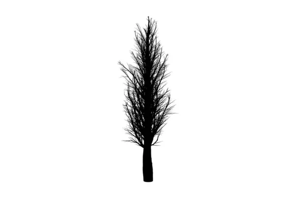 木のシルエット植物画 季節の木の形アート — ストック写真